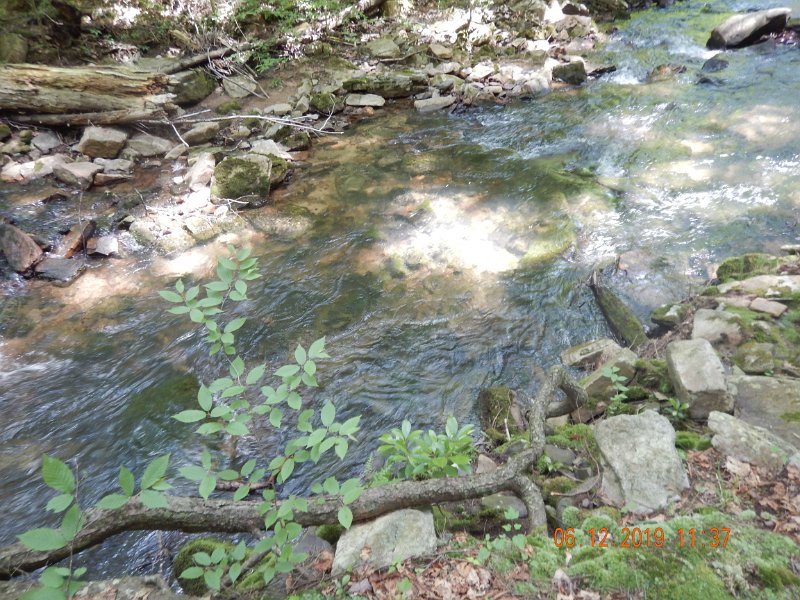 $LaurelRun3016$.jpg - The small ones weren't necessarily holding in the shallowest water.