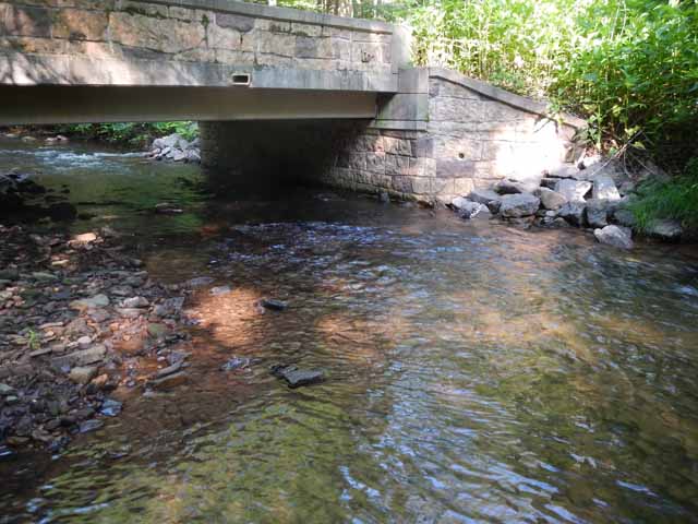 DSCN0130.jpg -                                This is where the first fish came from.
