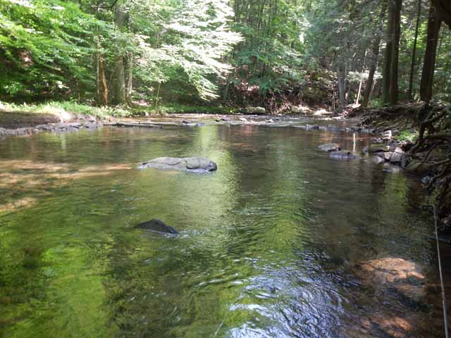 DSCN0146.jpg -                                Another shot of the stream