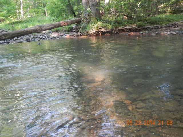 DSCN1091.jpg -                                And this is the hole where it was hiding.