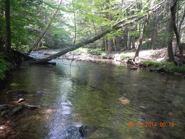 DSCN1106.jpg -                                Right from this hole.  This spot must have produced more than a half dozen trout!  (Not counting the ones we missed)