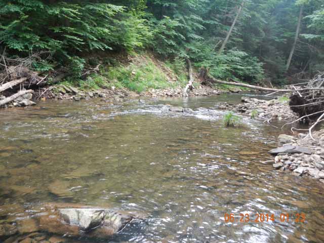 DSCN1115.jpg -                                It came from this run.