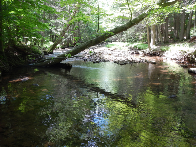 DSCN0320.jpg -                                Here's where these fish came from.  Gary E should recognize this hole!