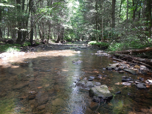 DSCN0321.jpg -                                Looking down stream.  The water was gin clear.