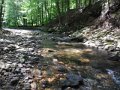 DSCN0330
