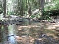 DSCN0332