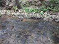 DSCN0334