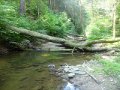 DSC01765