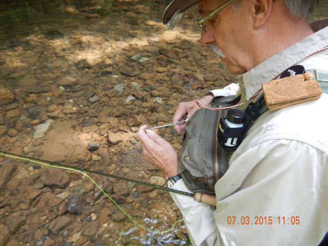 DSCN0491.jpg -                                Carefully removing the hook.