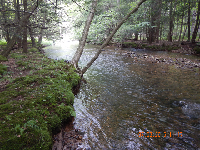 DSCN0493.jpg -                                This run was responsible for the next fish.