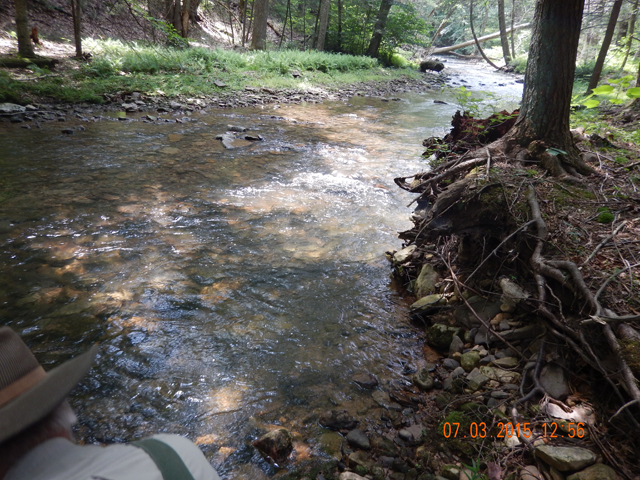 DSCN0505.jpg -                               And here is where that fish came from.