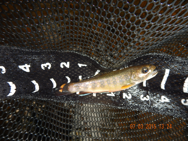 DSCN0512.jpg -                                And I got another...