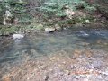 DSCN0501