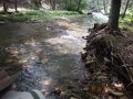 DSCN0505