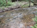 DSCN0518