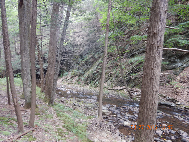 DSCN0612.jpg -                                