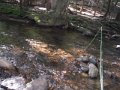 DSCF9017