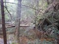 DSCN0610
