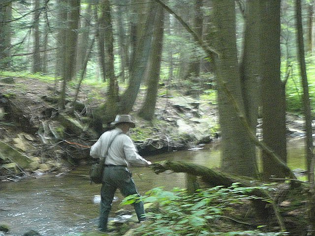DSC01742.jpg -                                Ed on the stream