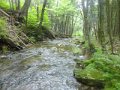 DSC01741