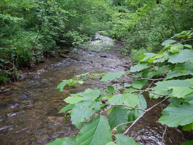 DSCN0066.jpg -                                