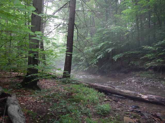 DSCN0077.jpg -                                
