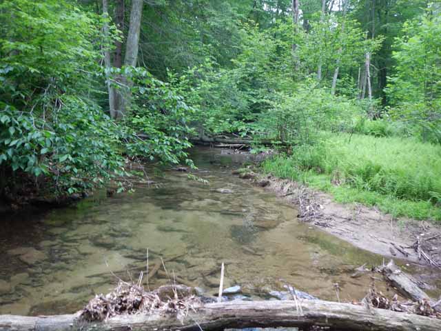 DSCN0089.jpg -                                
