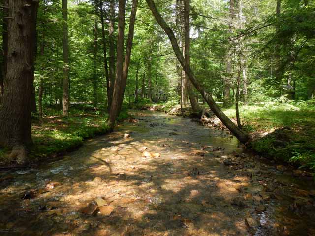 DSCN0093.jpg -                                