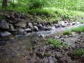DSCN0062