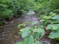DSCN0066