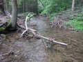 DSCN0103