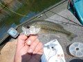 DSCN0118