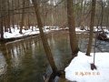 DSCN0839