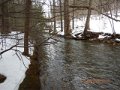DSCN0843