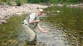 Trout3