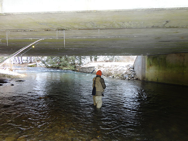DSC01395.jpg -                                Dave trying his luck on Young Womans Creek