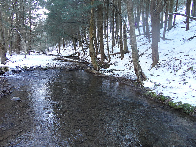 DSC01411.jpg -                                Scenic 3