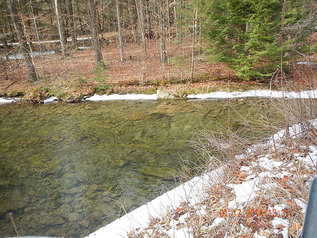 DSCN0341.jpg -                                We'll save this creek for Spring fishing!