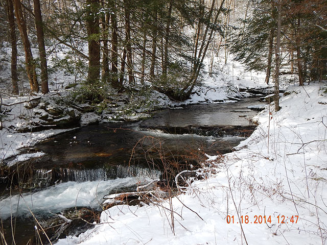DSCN0343.jpg -                                Trout Run in Clinton County...our first stop.