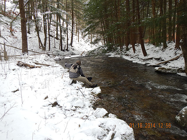DSCN0346.jpg - Looks like he got one there.                               