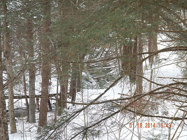 DSCN0352.jpg -                                ...but it is as beautiful as it gets!