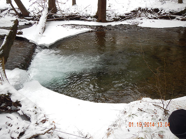 DSCN0359.jpg -                                A perfect spot for winter trout!