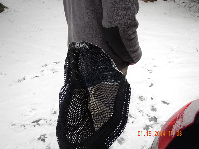 DSCN0373.jpg -                                The net is standing straight up....frozen solid.