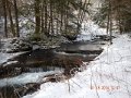 DSCN0343
