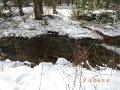 DSCN0344