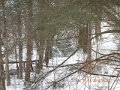 DSCN0352