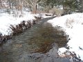 DSCN0354