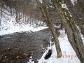 DSCN0371
