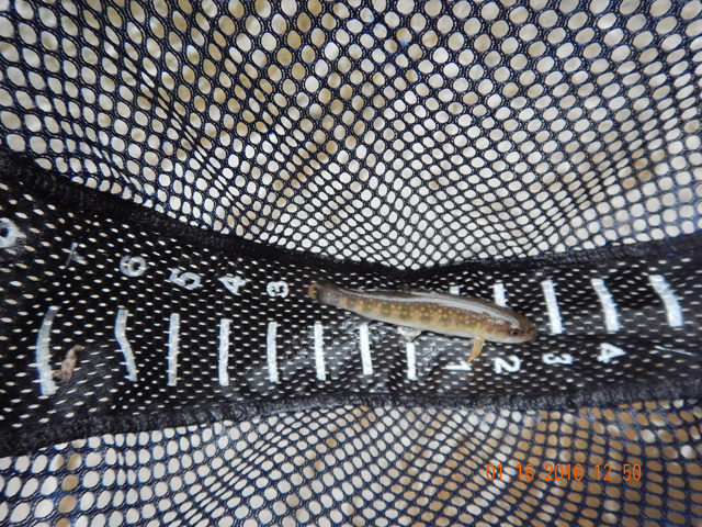 DSCN0827.jpg -                                