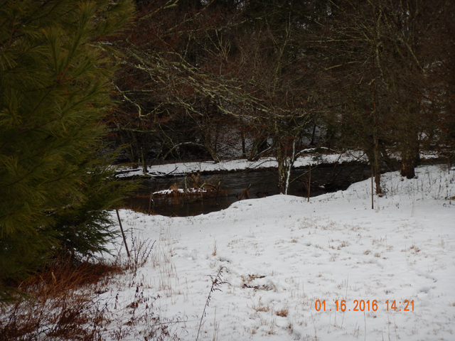 DSCN0830.jpg -                                Just wish the water level would stay this high during the summer months.